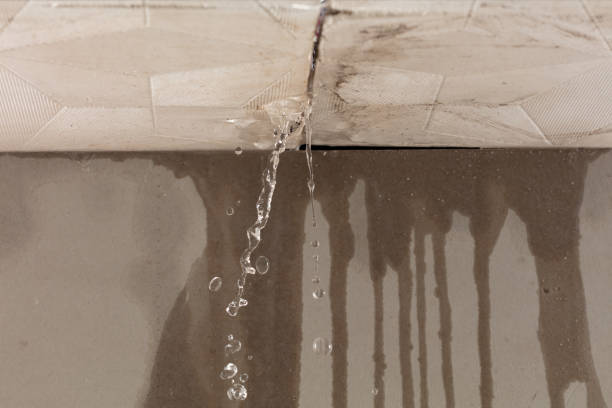 Professional Flood Damage Cleanup technician working in Dousman, WI